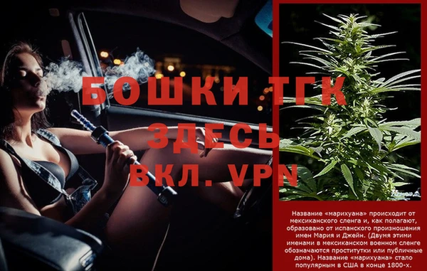 тгк Ельня