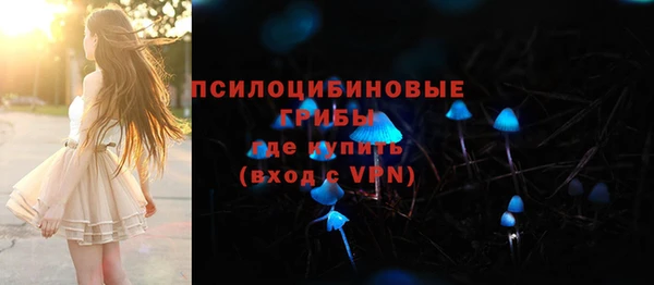 крисы Елабуга